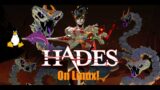 How to Play Hades on Linux