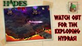 Hades #6: Never Change Bone Hydra