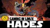 Hades on Linux | Ubuntu 20.04 | Steam Play