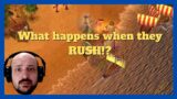 But what if they rush you?! | 1v1 Hades vs Loki #aom #ageofempires