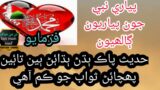 Hadith pak with sindhi translation/hades in sindhi/hades sharef jo sindhi tarjumo#shorts videos