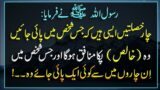 Pakka Munafiq Kon Hai | Pyaare Nabi ka Farman| Hades | Hadith Of Prophet | Islamic Urdu PAKISTAN