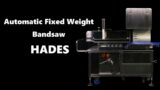 Automatic Fixed Weight Frozen Meat Bandsaw – HADES