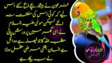 Firon Ne Be Shomaar Bache Halak Kye| Hades Ki Baten | Hindi Urdu Motivational Quotes| Adab official