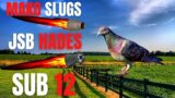 pellet test –  .177 jsb hades vs mako slugs – sub 12 – accuracy