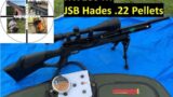 HW100KT FAC .22 JSB Hades Pellets