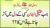 Haqeqe iman kab Naseb Hota hai | Hadees e Nabvi | Hades | Islamic Urdu PAKISTAN