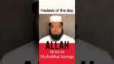 Allah humse Muhabbat karega |#hades #hadees #rashadi #shorts