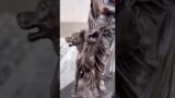 Luxury bronze statue of Hades and Cerberus – greek mythology