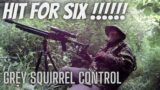 Air Rifle Squirrel control with FX Dreamline .22 & JSB Hades Pellets