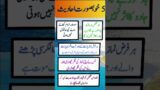 5 Khobsorat Hades in urdu || Hazrat Muhammad saw ka Frman  #short