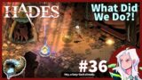 Let's Play Hades- Part 36: What Did We Do?!