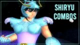 Saint Seiya: Hades – Shiryu Combos