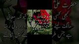 hazart Ali hades|Urdu quotes hazart Ali