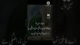 Hades e Mubarik | Farman e Rasool | #womeranabihai  #motivation #naatsharif #farman