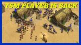 When Top Players Return | Redo (Odin) vs Player (Hades) #aom #ageofempires