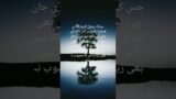 piyary Nabi ki Hades||Hades in urdu |Hades Shareef