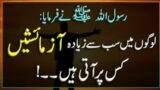 Hades Nubwi Urdu Islamic video Urdmag2