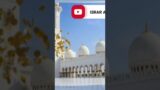 #dua #naat #hades #hamd #islamic #bayan #viralvideo #taqreer #gazal #islamicvideo #tariqjameel #