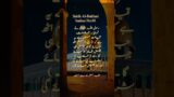 Sahih Al-bukhari in Urdu || hades no 80 || sahih reminder
