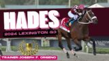 Hades Needs A Win to make the Kentucky Derby 2024 Lexington G3 Preview