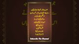 Hades Mubarak quote | Hades Shareef quote | Islamic quote | Islamic information | Hades Paak | quote