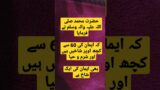 Holy Prophet Hazrat Mohammad Peace Be Upon Him hades