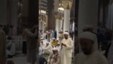 Kaba Madina #islamicziyarat#best #naat#hades#short #video#ya rasool allah