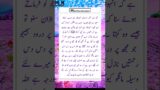 Sahih Muslim Hadees:844 #shorts#urdu#auratqoutes#pets#quotes#aseel#gym#islamic#hades#viralvideo#most