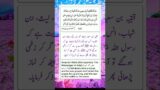 Sahih Muslim Hadees:917 #shorts#urdu#auratqoutes#pets#quotes#aseel#gym#islamic#hades#viralvideo#most
